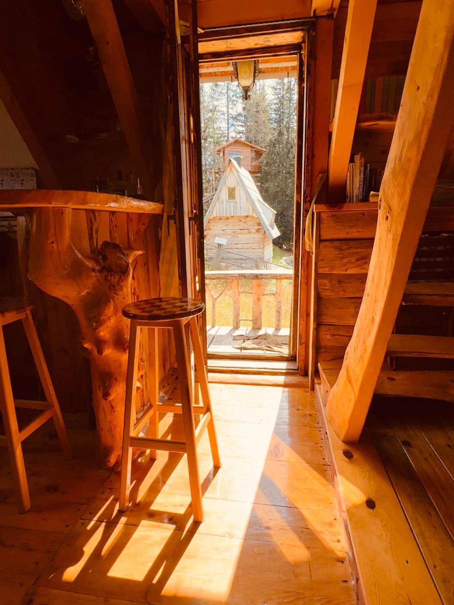 Mountain Story Apartment Žabljak Extérieur photo