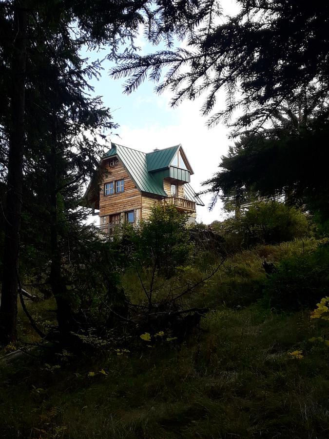 Mountain Story Apartment Žabljak Extérieur photo