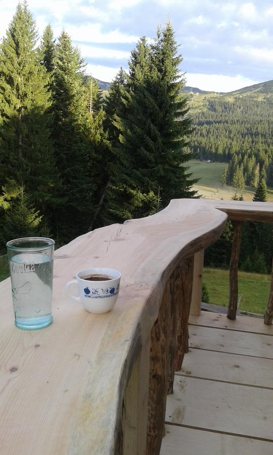 Mountain Story Apartment Žabljak Extérieur photo