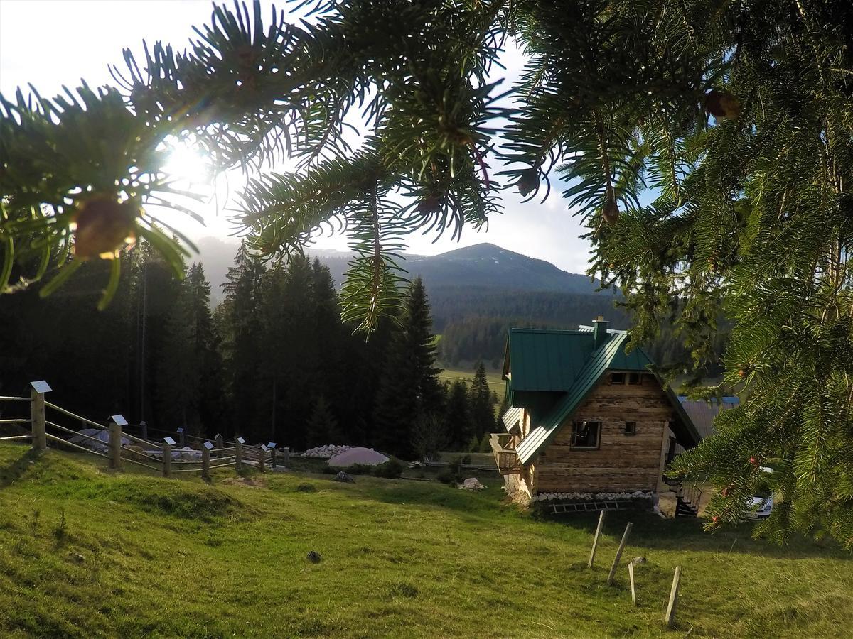 Mountain Story Apartment Žabljak Extérieur photo